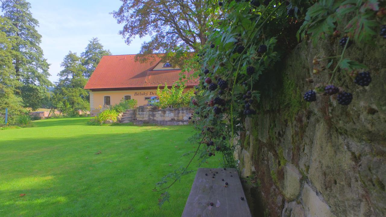 Hotel Belsky Dvur à Bely Extérieur photo